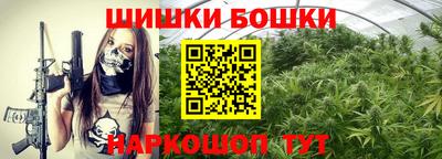 МДПВ Гусев