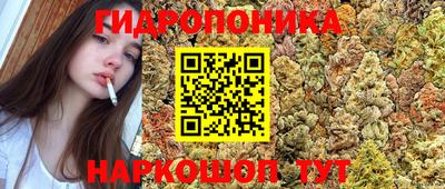 a pvp Гусиноозёрск