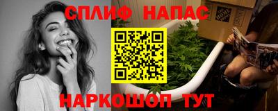 МДПВ Гусев
