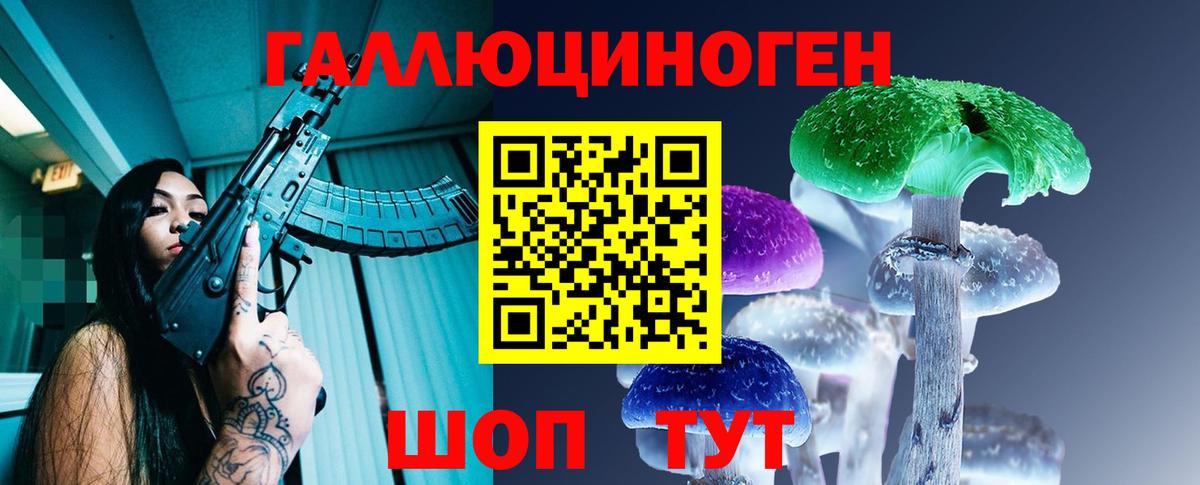 Галлюциногенные грибы Psilocybine cubensis Когалым