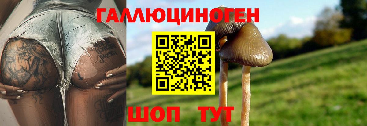 Псилоцибиновые грибы Magic Shrooms  Вход с VPN  Когалым 